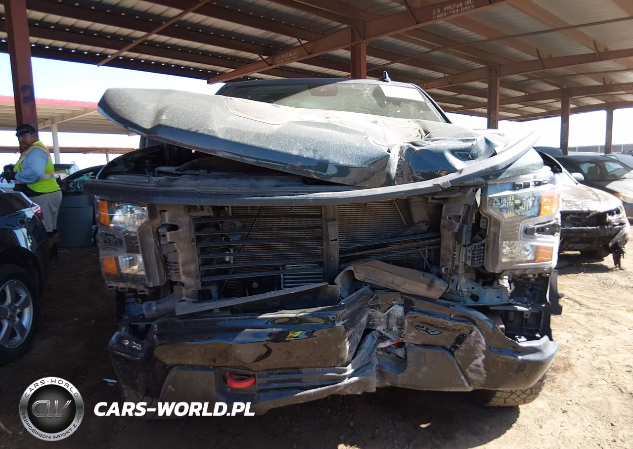 2025 Chevrolet Silverado 1500 4Wd Short Bed Custom Trail Boss VIN:3GCPKCEK3SG312039 - 11