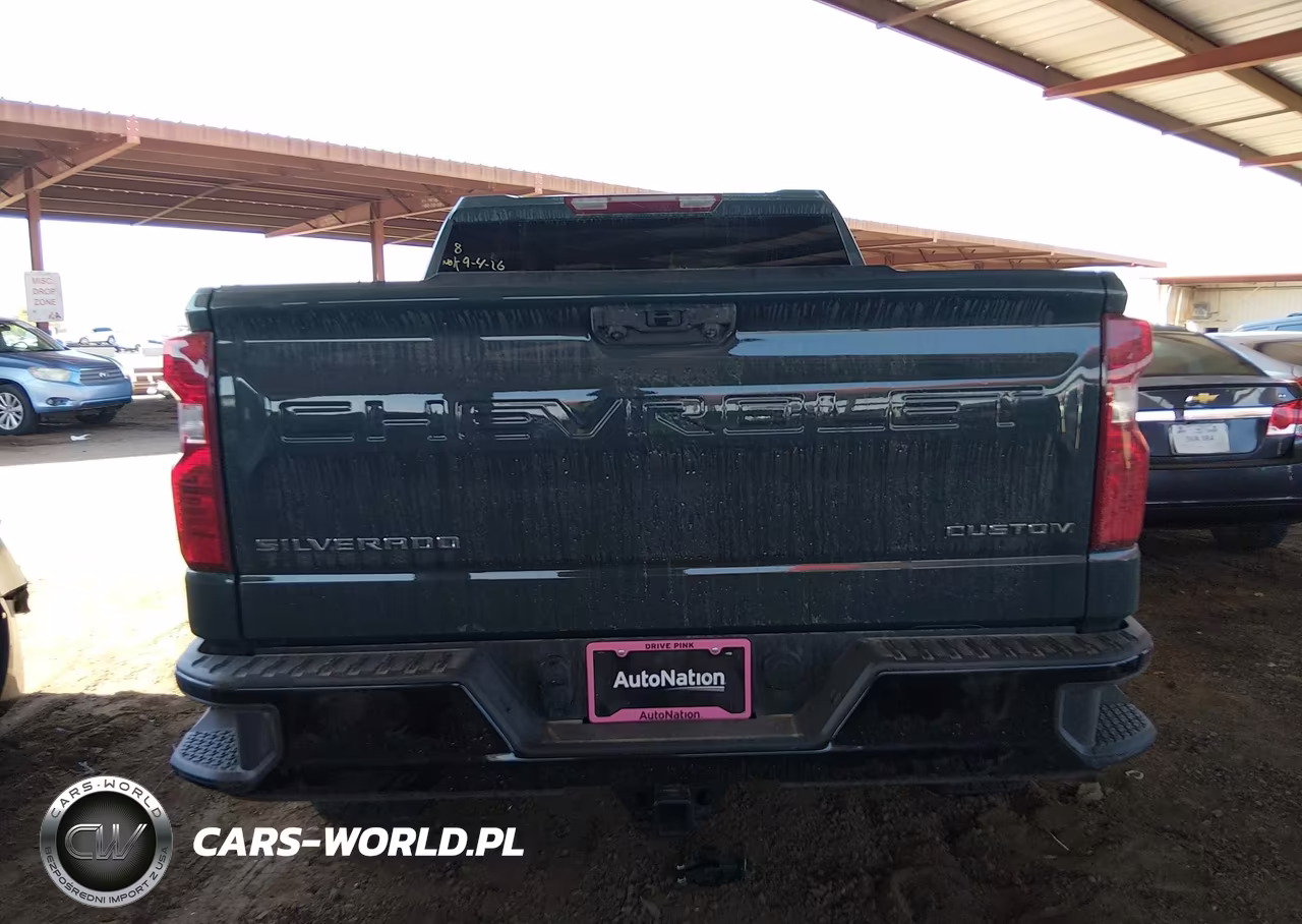 2025 Chevrolet Silverado 1500 4Wd Short Bed Custom Trail Boss VIN:3GCPKCEK3SG312039 - 15