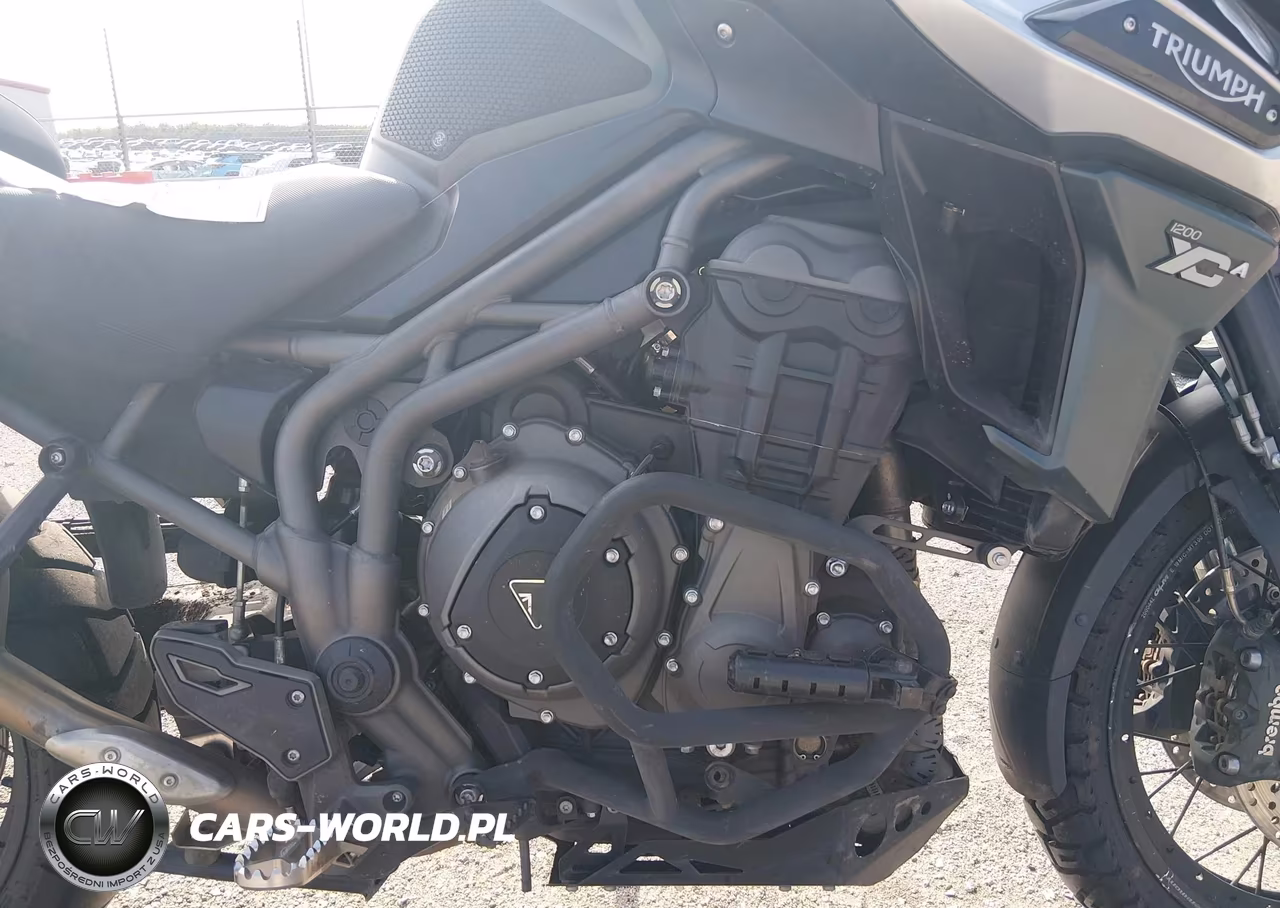 2018 Triumph Motorcycle Explorer Xca VIN:SMTF45XB8JJ865671 - 8