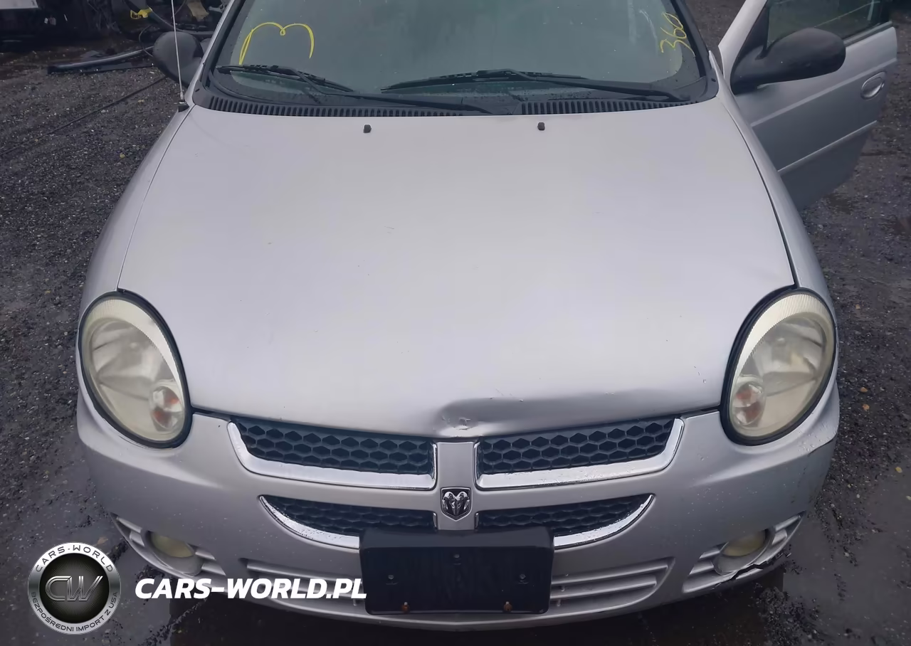 2004 Dodge Neon Sxt VIN:1B3ES56C54D603928 - 10