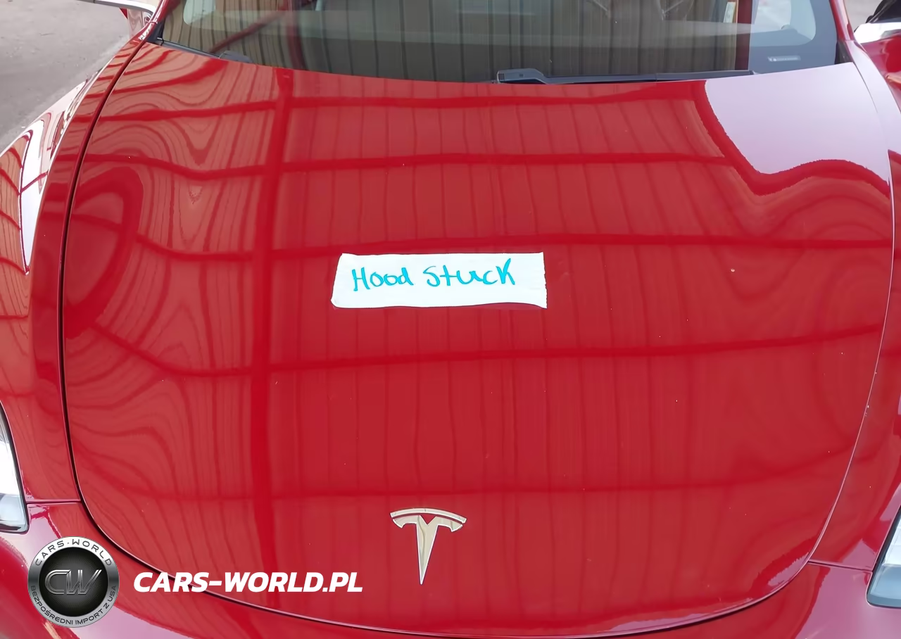 2018 Tesla Model 3 Long Range-Mid Range VIN:5YJ3E1EA7JF045798 - 10