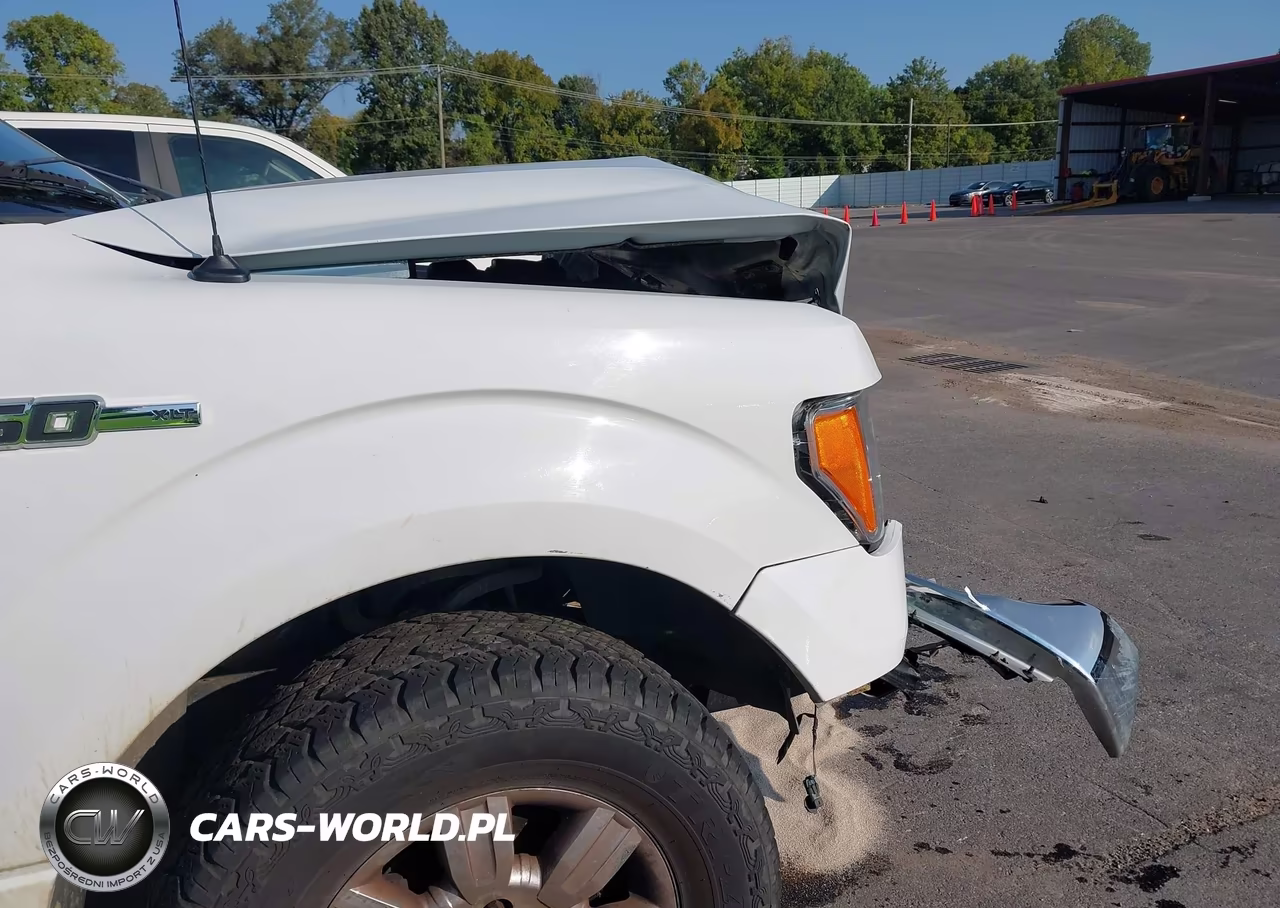 2009 Ford F150 Supercrew VIN:1FTRW12899FA58701 - 14