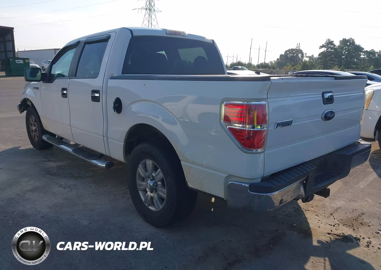 2009 Ford F150 Supercrew VIN:1FTRW12899FA58701 - 3