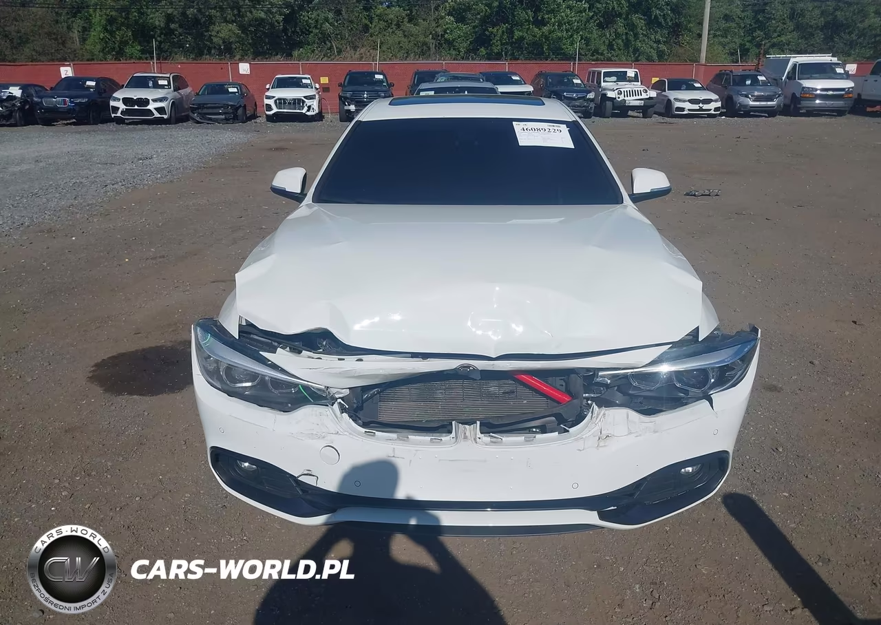 2019 BMW 430I Gran Coupe xDrive VIN:WBA4J3C59KBL10921 - 12