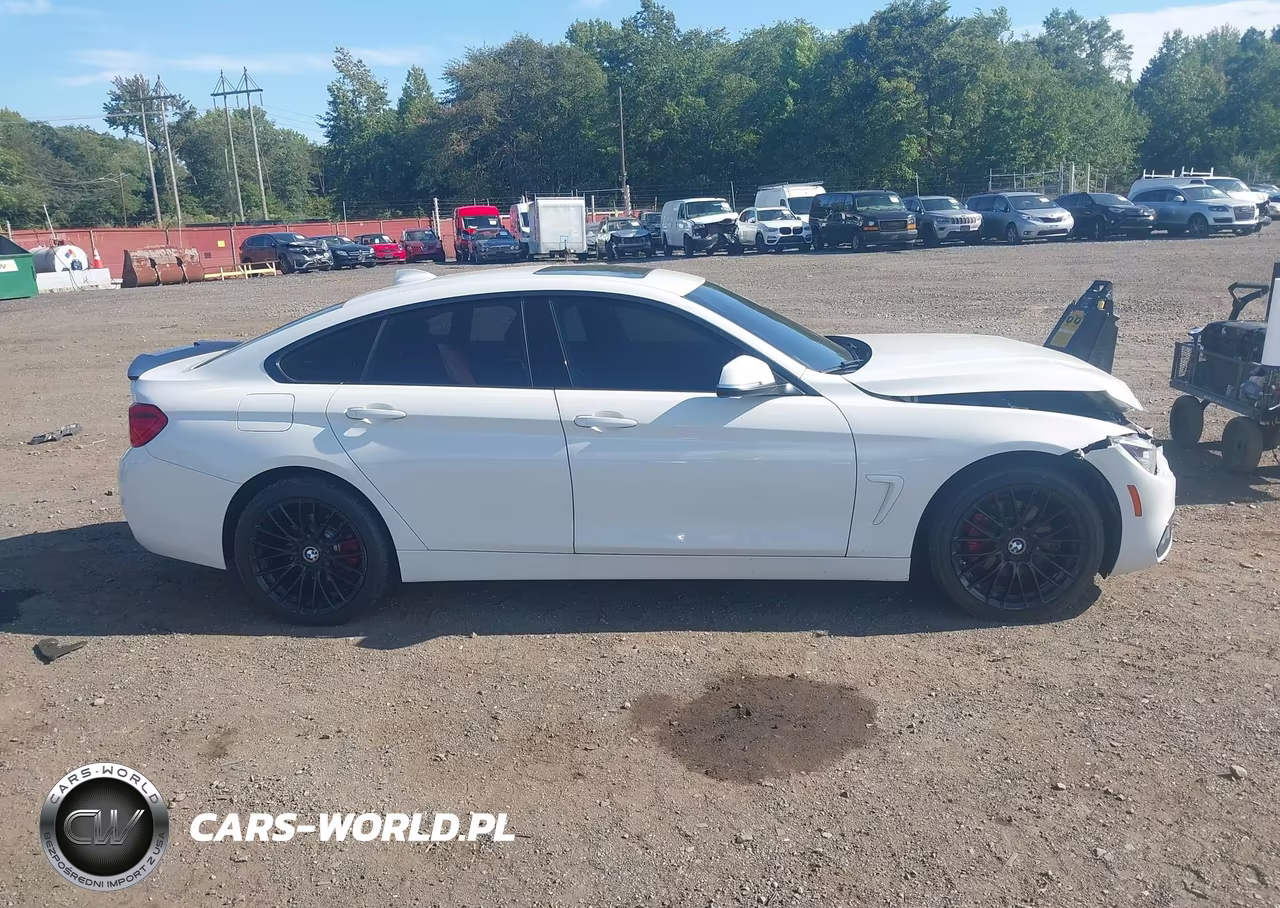 2019 BMW 430I Gran Coupe xDrive VIN:WBA4J3C59KBL10921 - 13