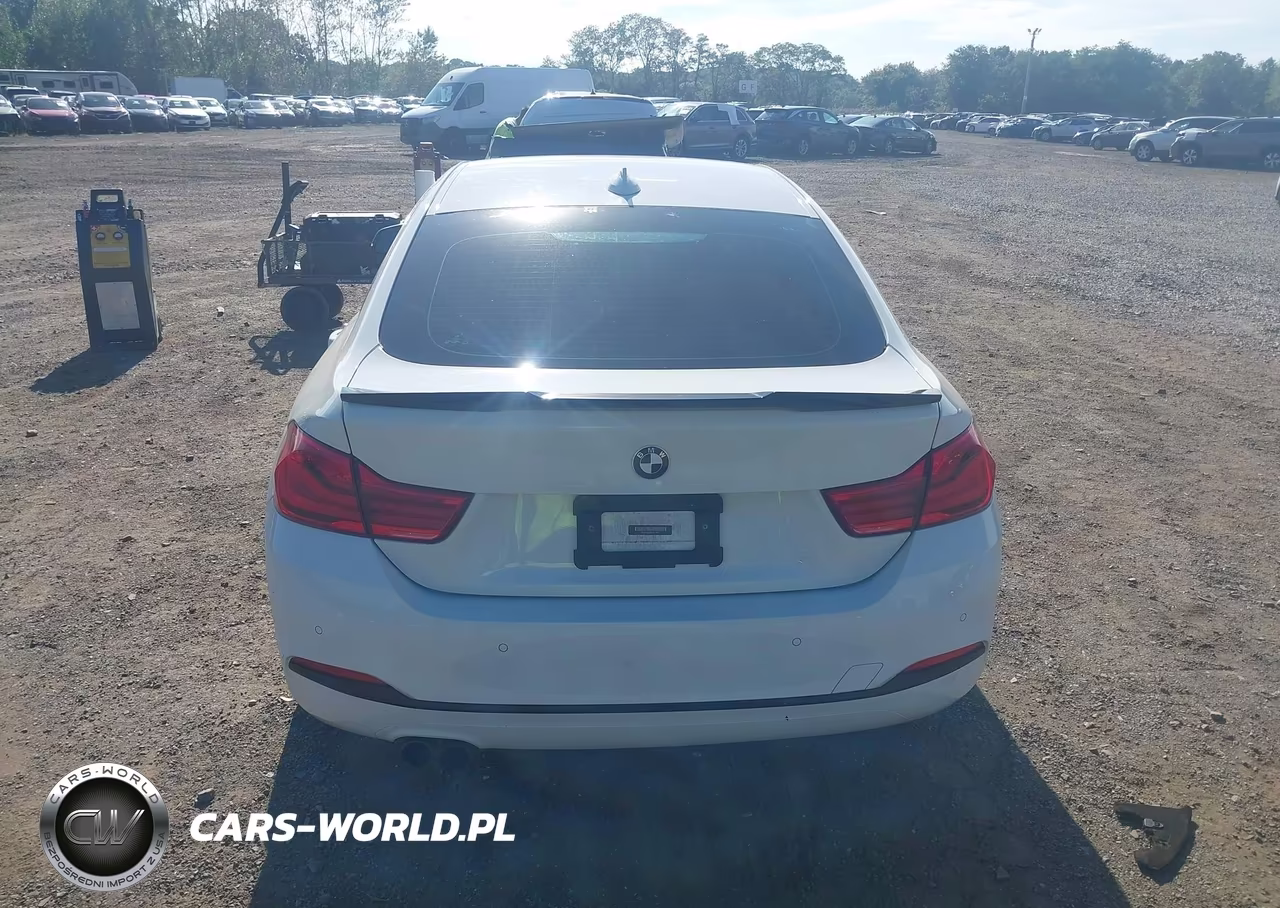 2019 BMW 430I Gran Coupe xDrive VIN:WBA4J3C59KBL10921 - 16