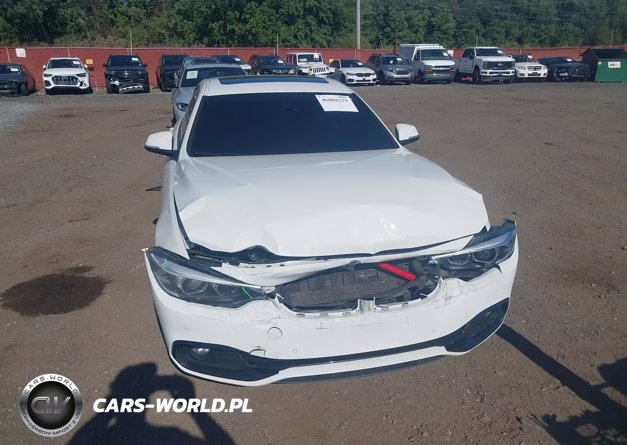 2019 BMW 430I Gran Coupe xDrive VIN:WBA4J3C59KBL10921 - 17