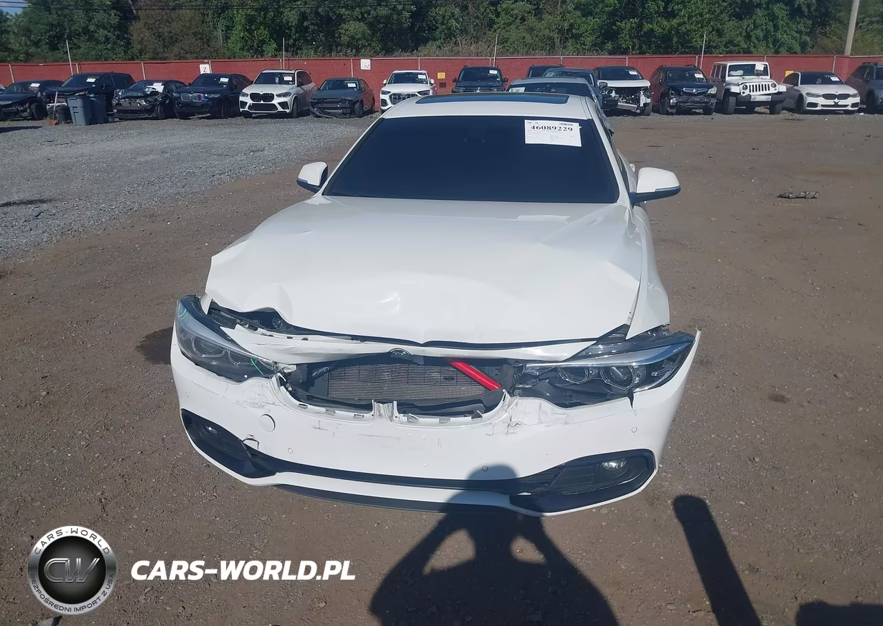 2019 BMW 430I Gran Coupe xDrive VIN:WBA4J3C59KBL10921 - 6