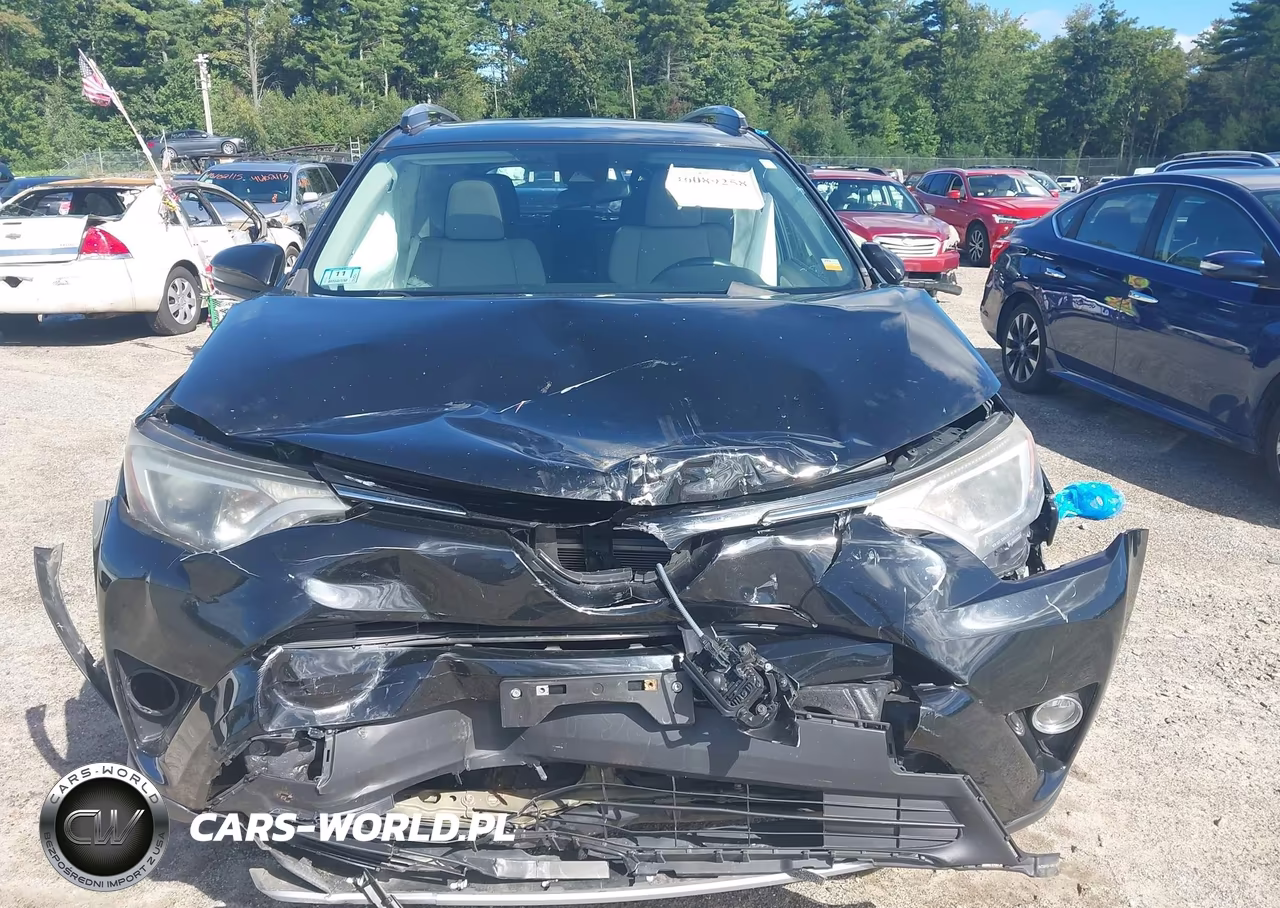 2017 Toyota Rav4 Xle VIN:2T3RFREV0HW681007 - 13
