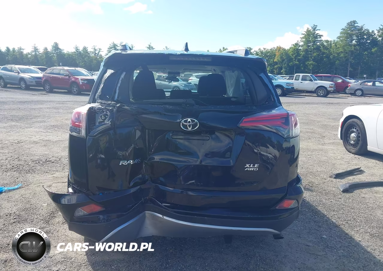 2017 Toyota Rav4 Xle VIN:2T3RFREV0HW681007 - 17