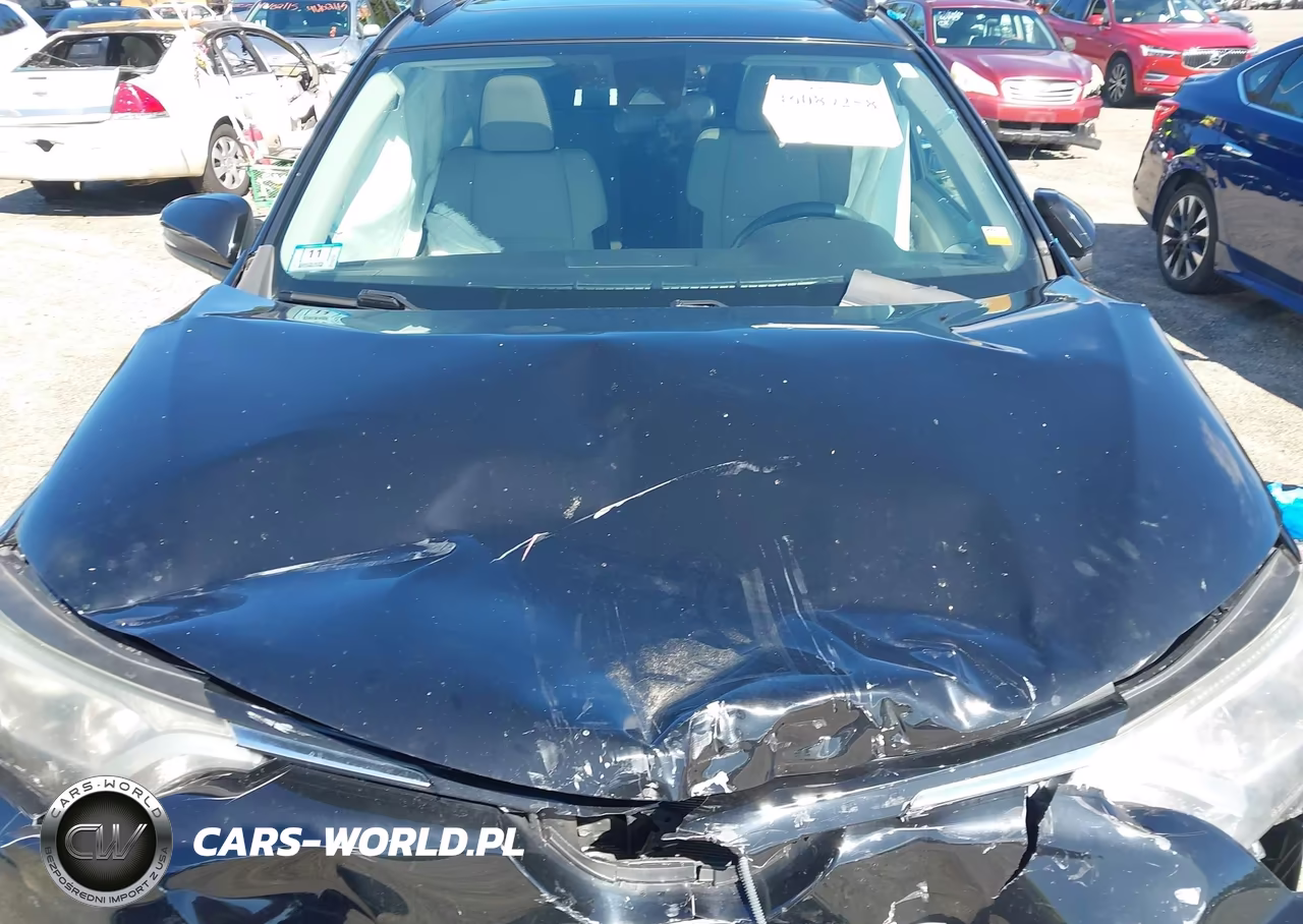 2017 Toyota Rav4 Xle VIN:2T3RFREV0HW681007 - 18