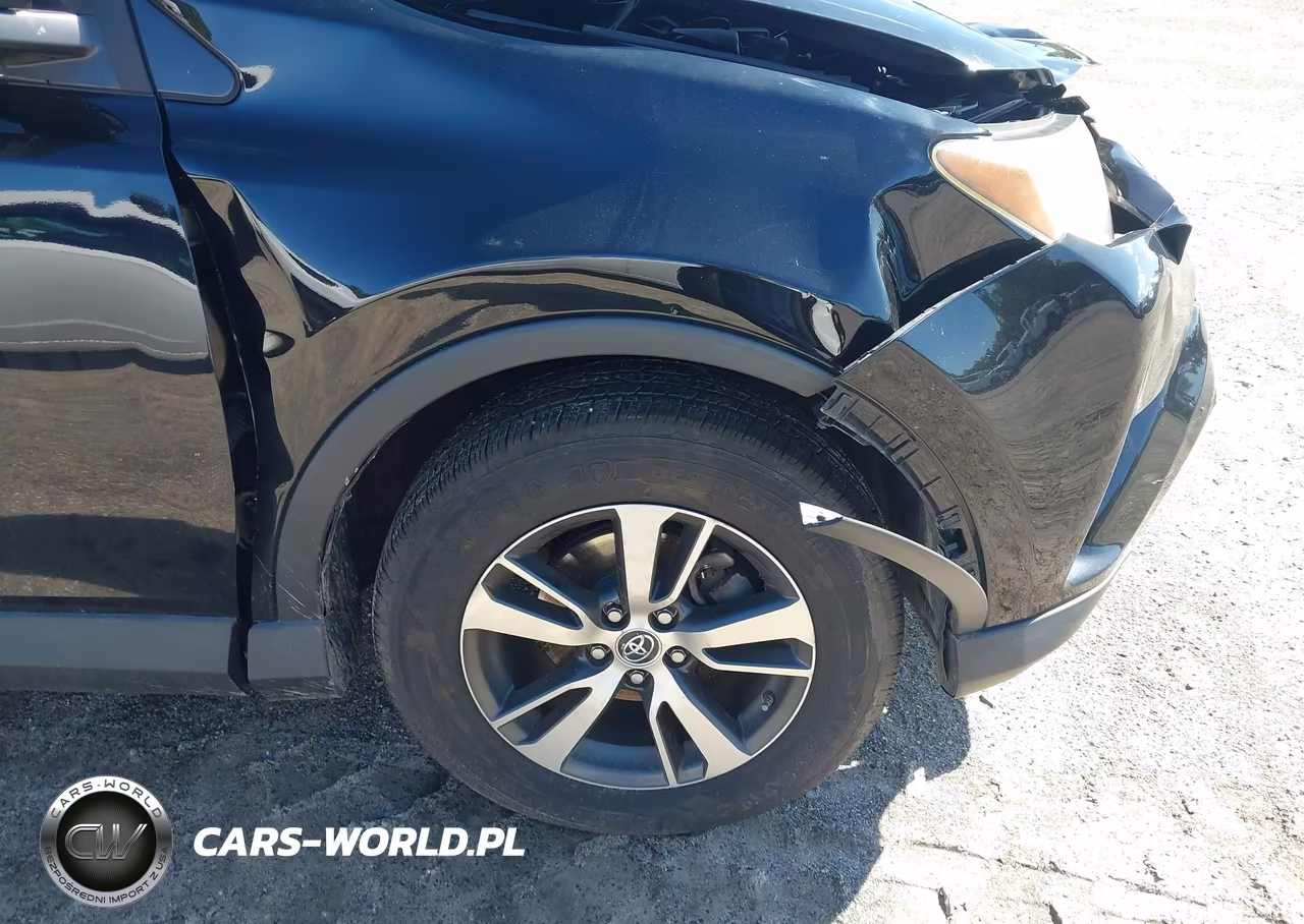 2017 Toyota Rav4 Xle VIN:2T3RFREV0HW681007 - 19
