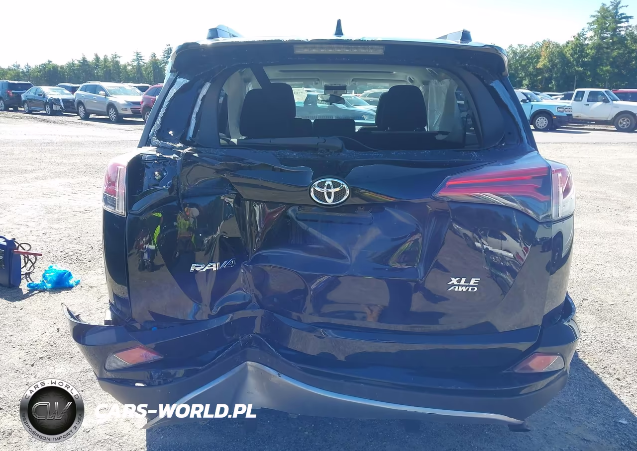 2017 Toyota Rav4 Xle VIN:2T3RFREV0HW681007 - 20