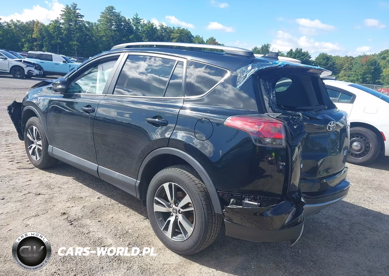 2017 Toyota Rav4 Xle VIN:2T3RFREV0HW681007 - 3