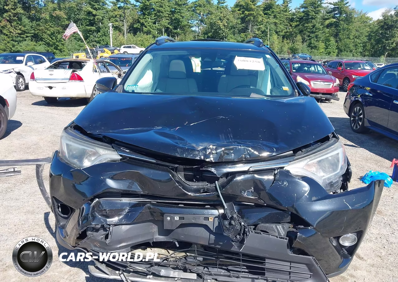 2017 Toyota Rav4 Xle VIN:2T3RFREV0HW681007 - 6
