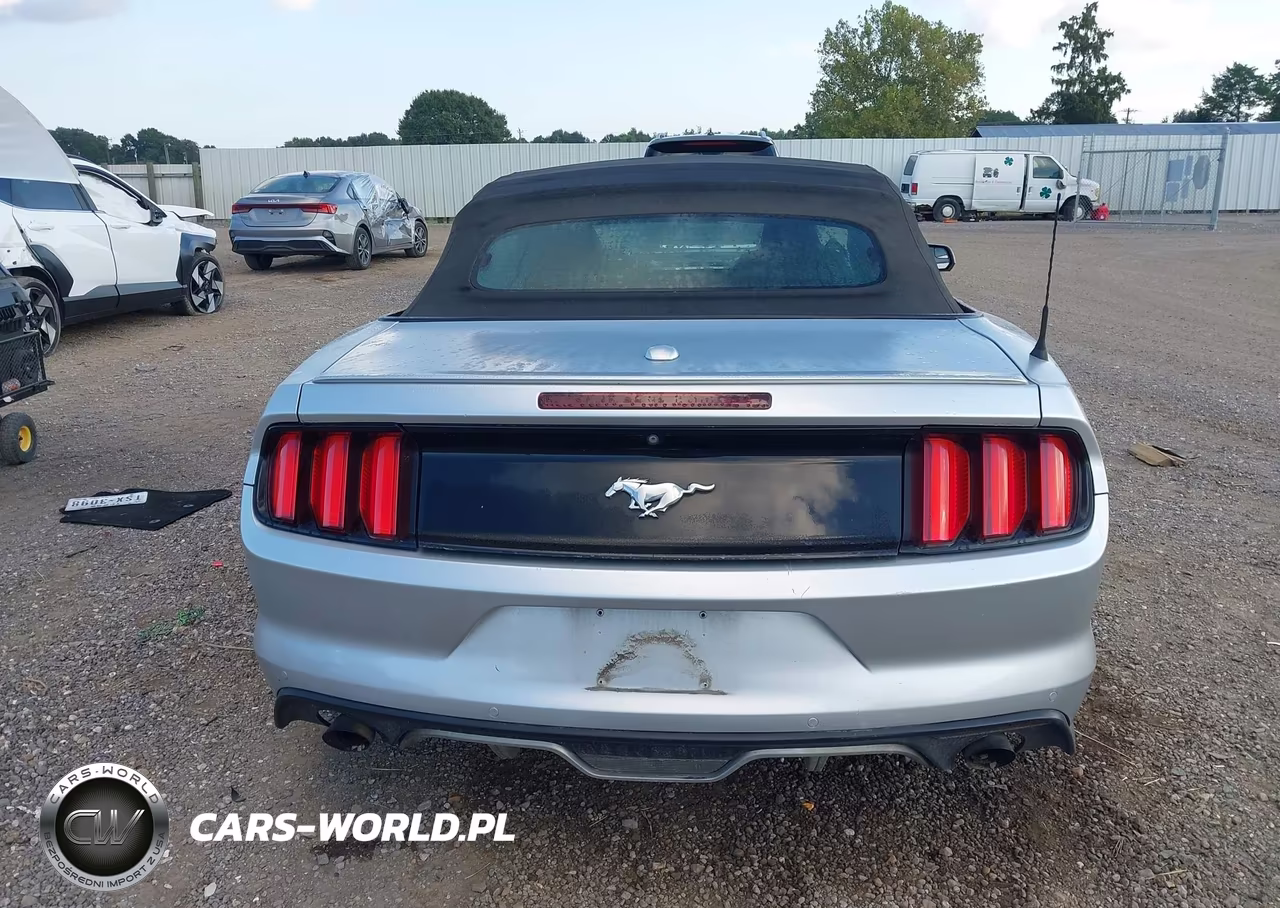 2016 Ford Mustang Ecoboost Premium VIN:1FATP8UH3G5217441 - 17