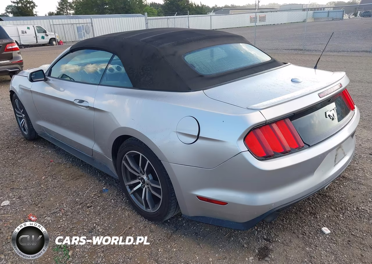 2016 Ford Mustang Ecoboost Premium VIN:1FATP8UH3G5217441 - 3