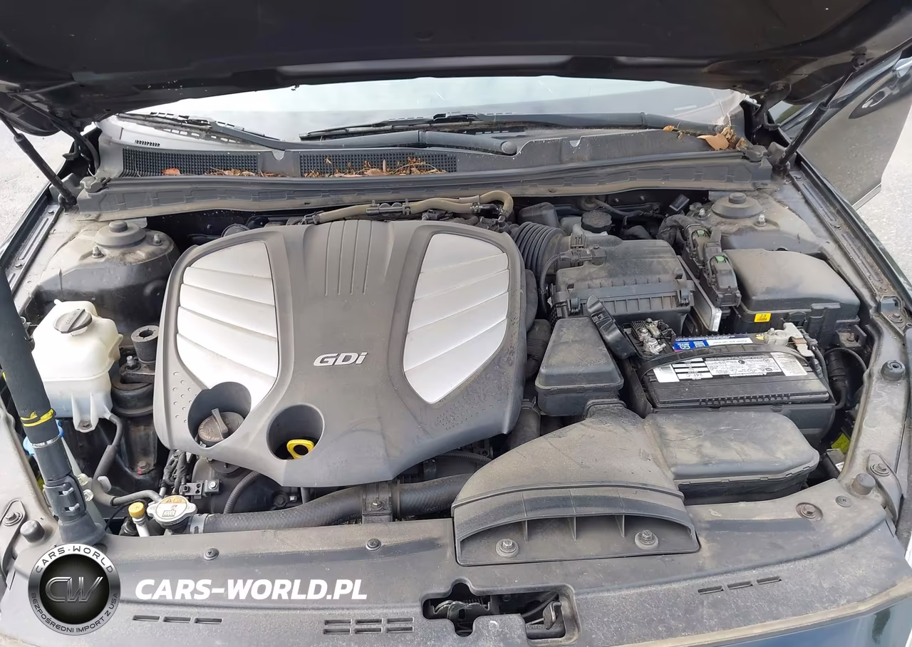 2015 Kia Cadenza Premium VIN:KNALN4D78F5188353 - 10