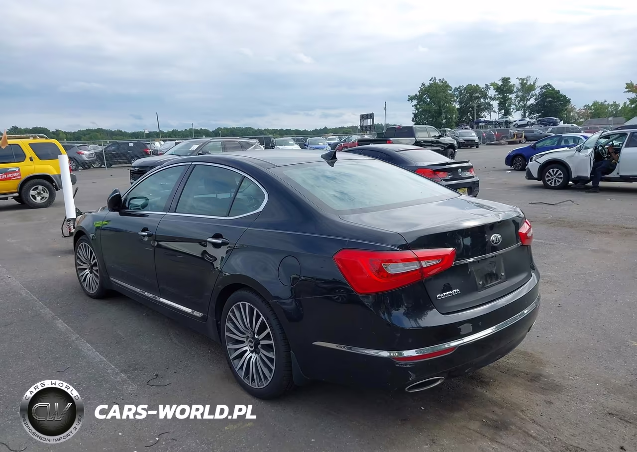 2015 Kia Cadenza Premium VIN:KNALN4D78F5188353 - 3