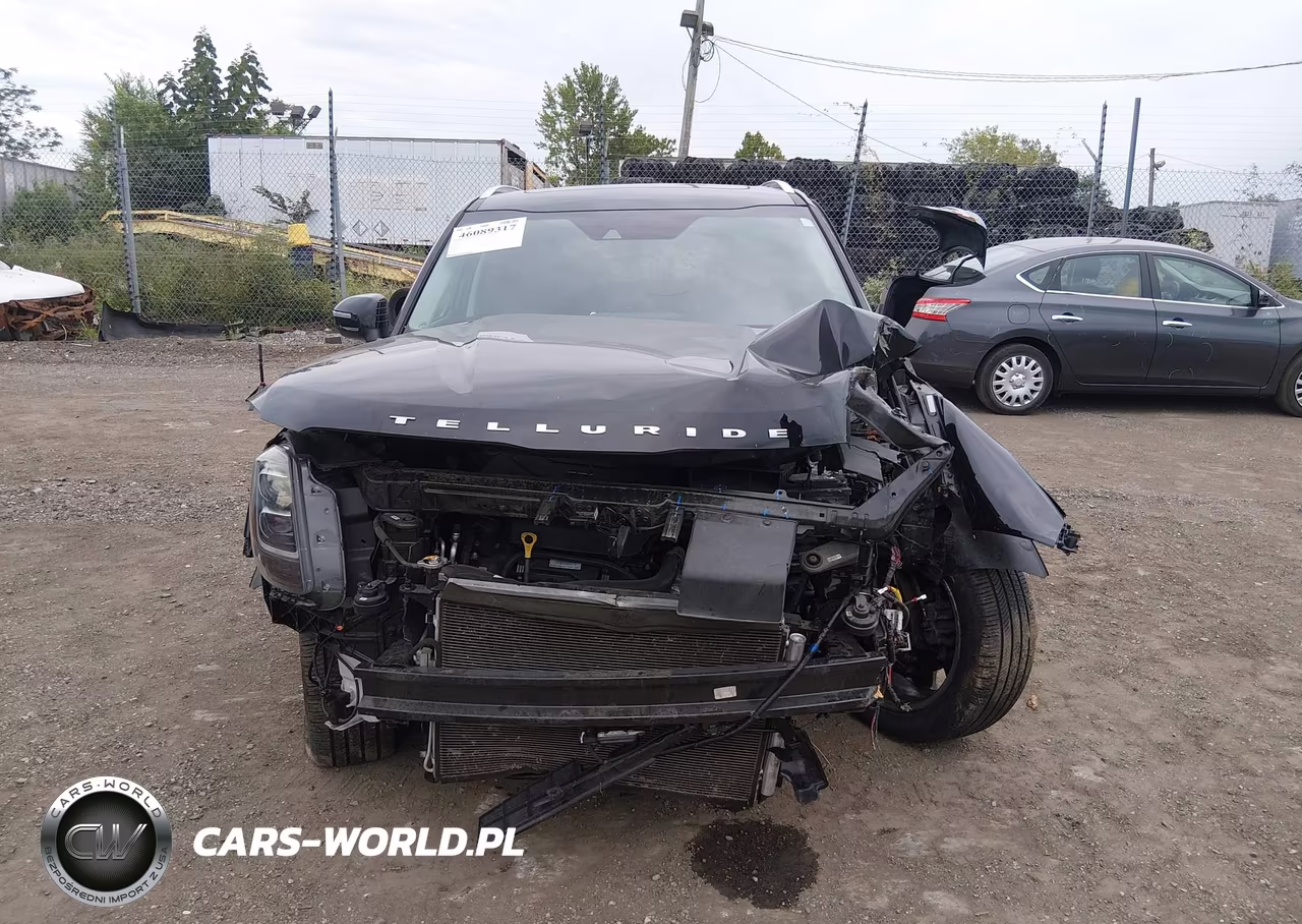 2022 Kia Telluride Ex VIN:5XYP34HC7NG310093 - 12