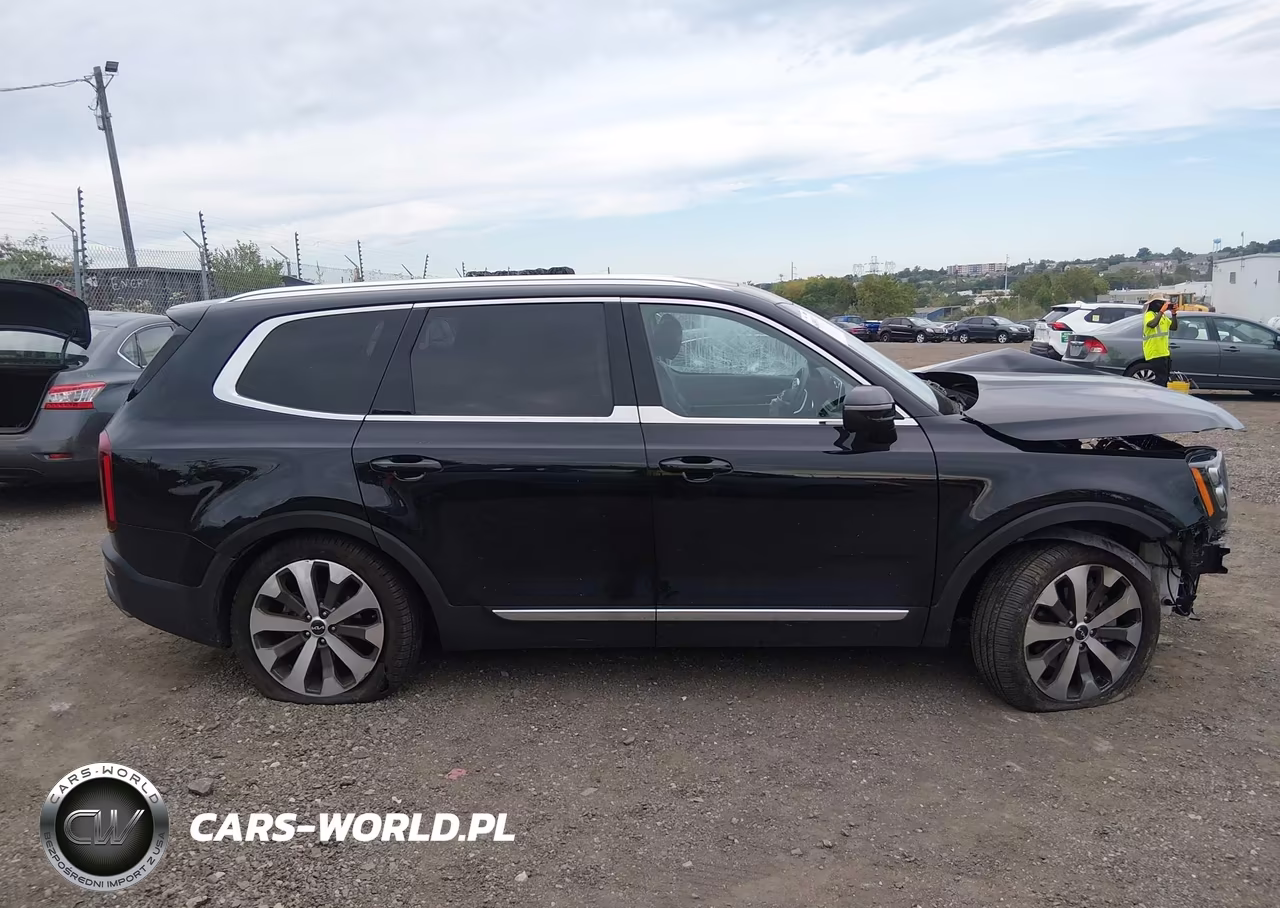 2022 Kia Telluride Ex VIN:5XYP34HC7NG310093 - 13