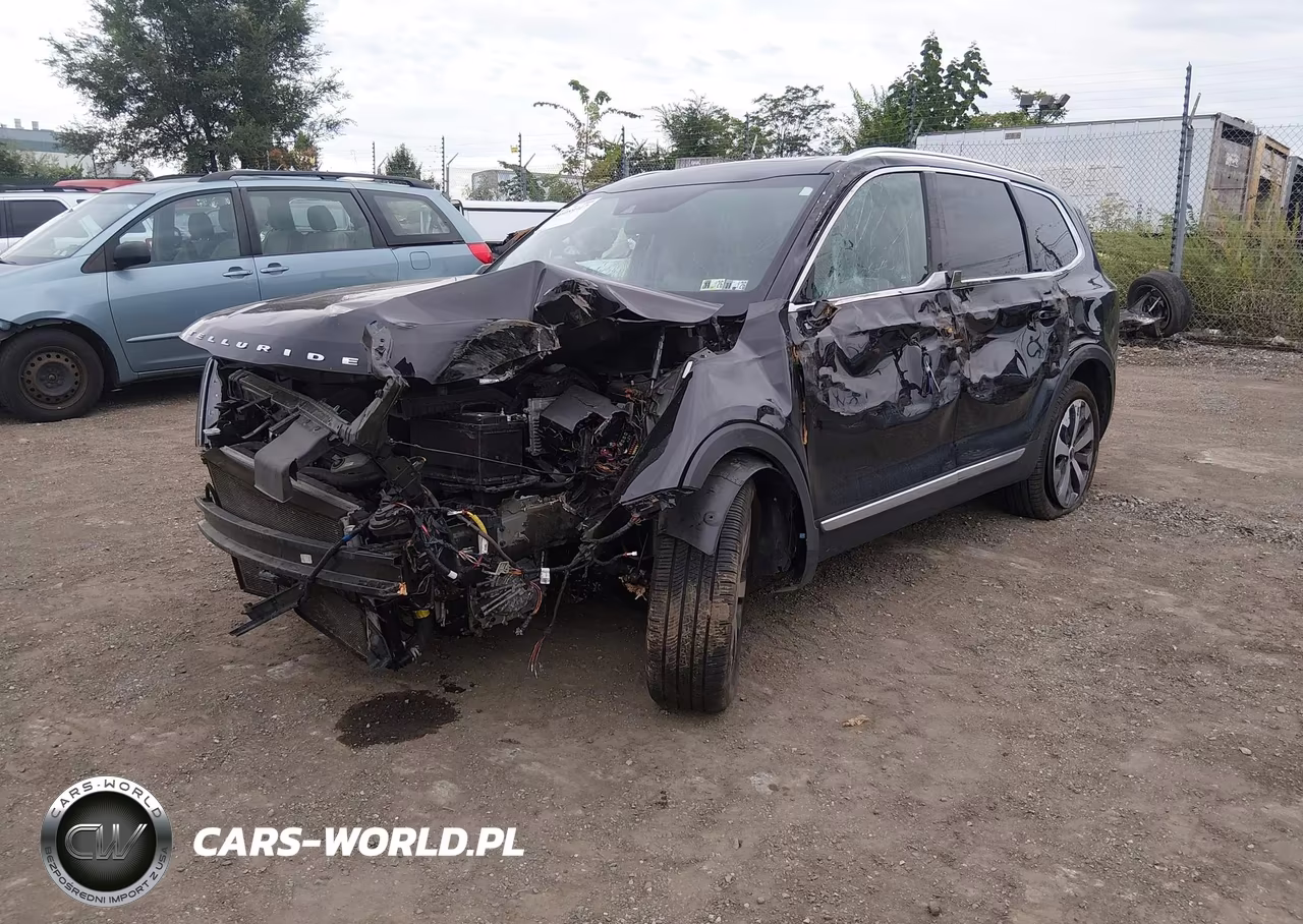 2022 Kia Telluride Ex VIN:5XYP34HC7NG310093 - 2