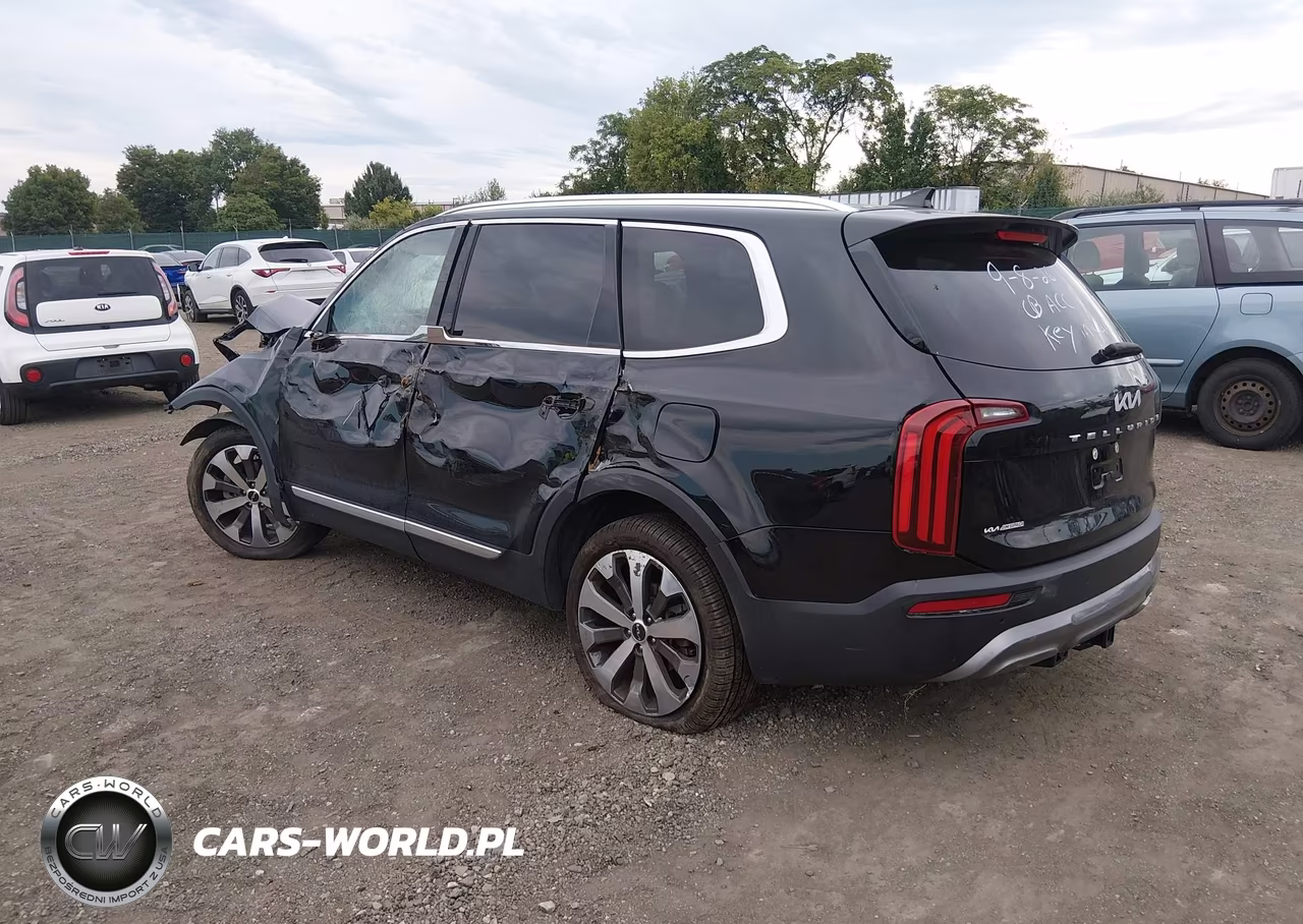 2022 Kia Telluride Ex VIN:5XYP34HC7NG310093 - 3