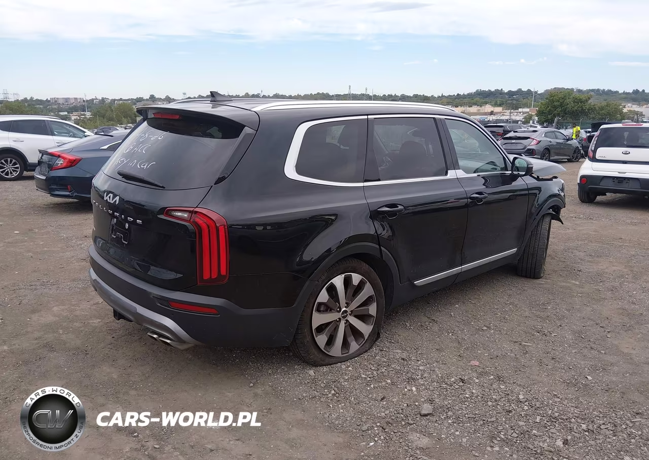 2022 Kia Telluride Ex VIN:5XYP34HC7NG310093 - 4