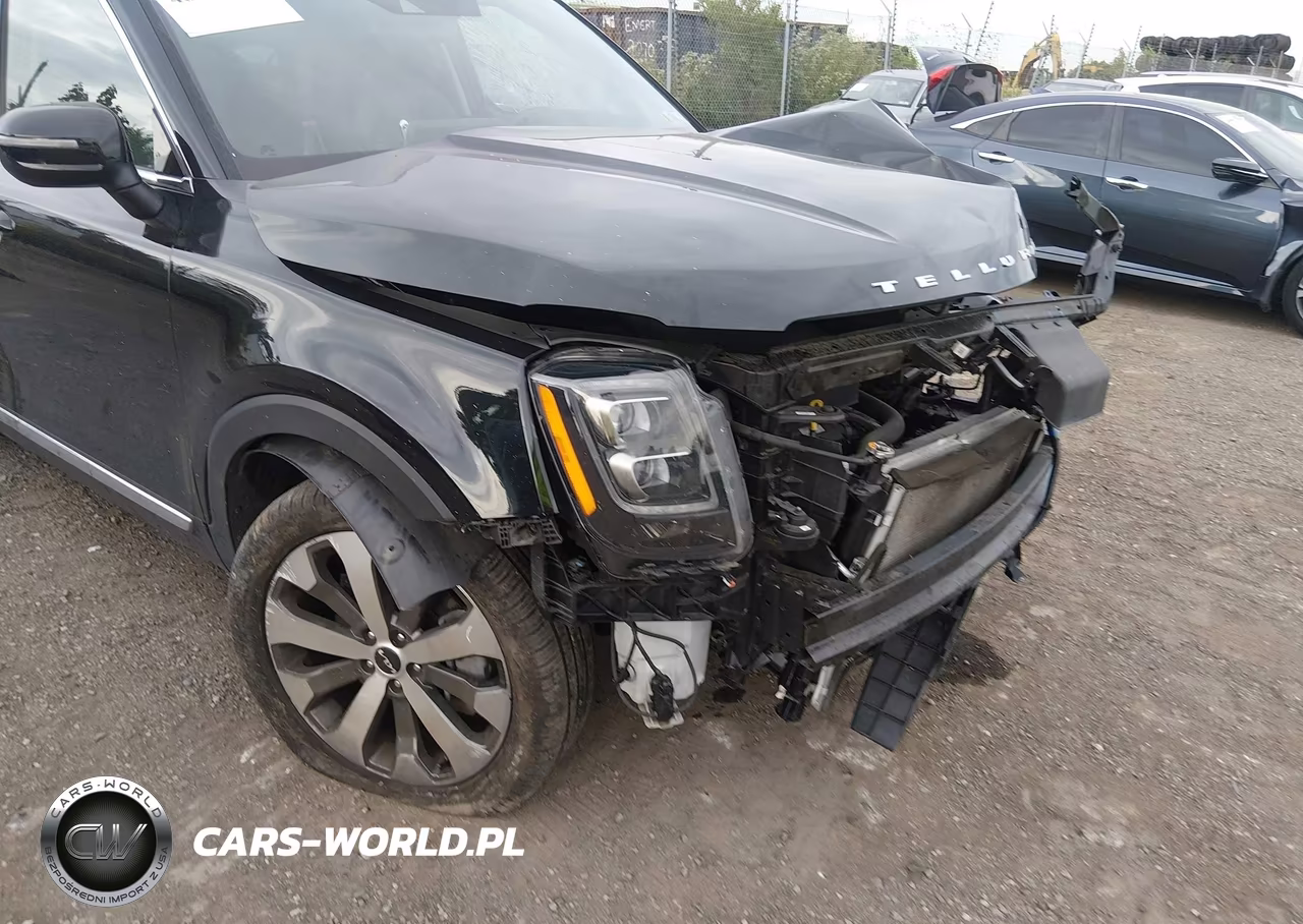 2022 Kia Telluride Ex VIN:5XYP34HC7NG310093 - 6