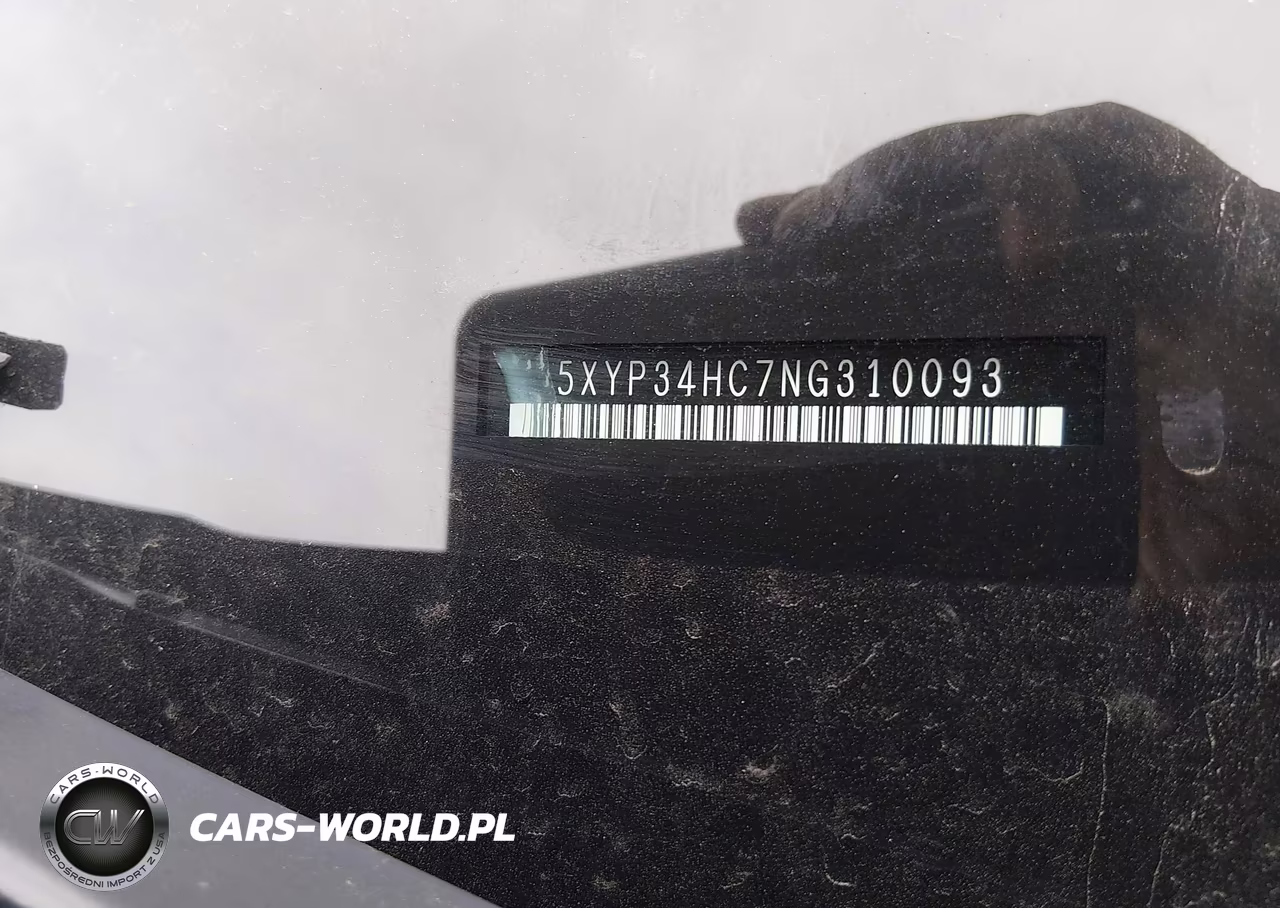 2022 Kia Telluride Ex VIN:5XYP34HC7NG310093 - 9