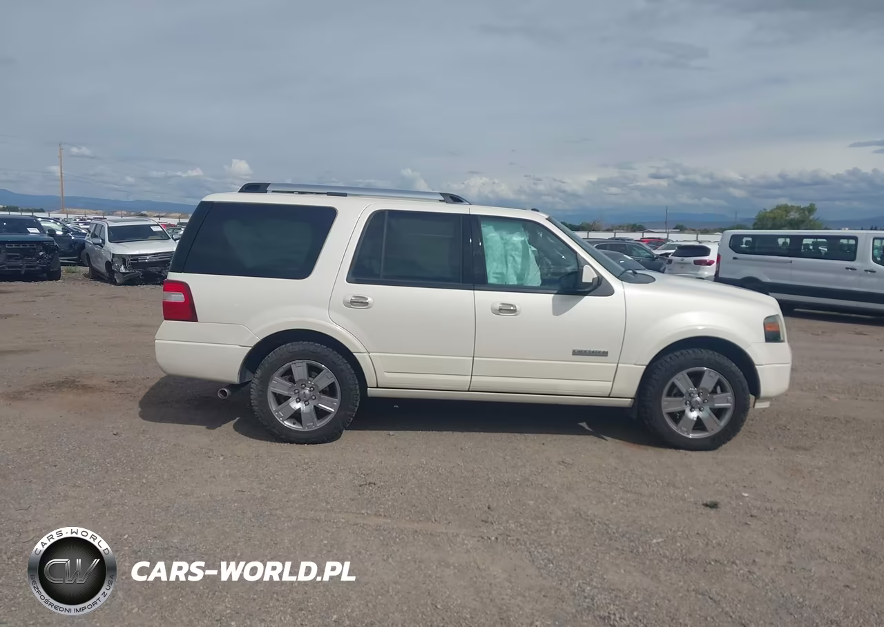 2008 Ford Expedition Limited VIN:1FMFU20598LA48561 - 13