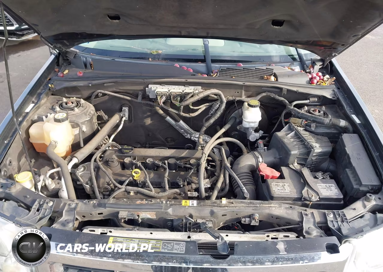 2009 Ford Escape Xlt VIN:1FMCU03749KB28362 - 10