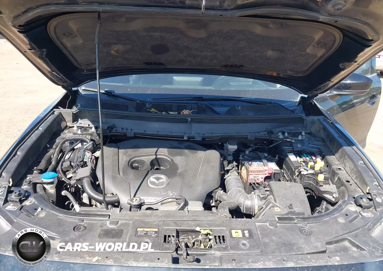 2016 Mazda Cx-9 Grand Touring VIN:JM3TCBDY0G0113478 - 10