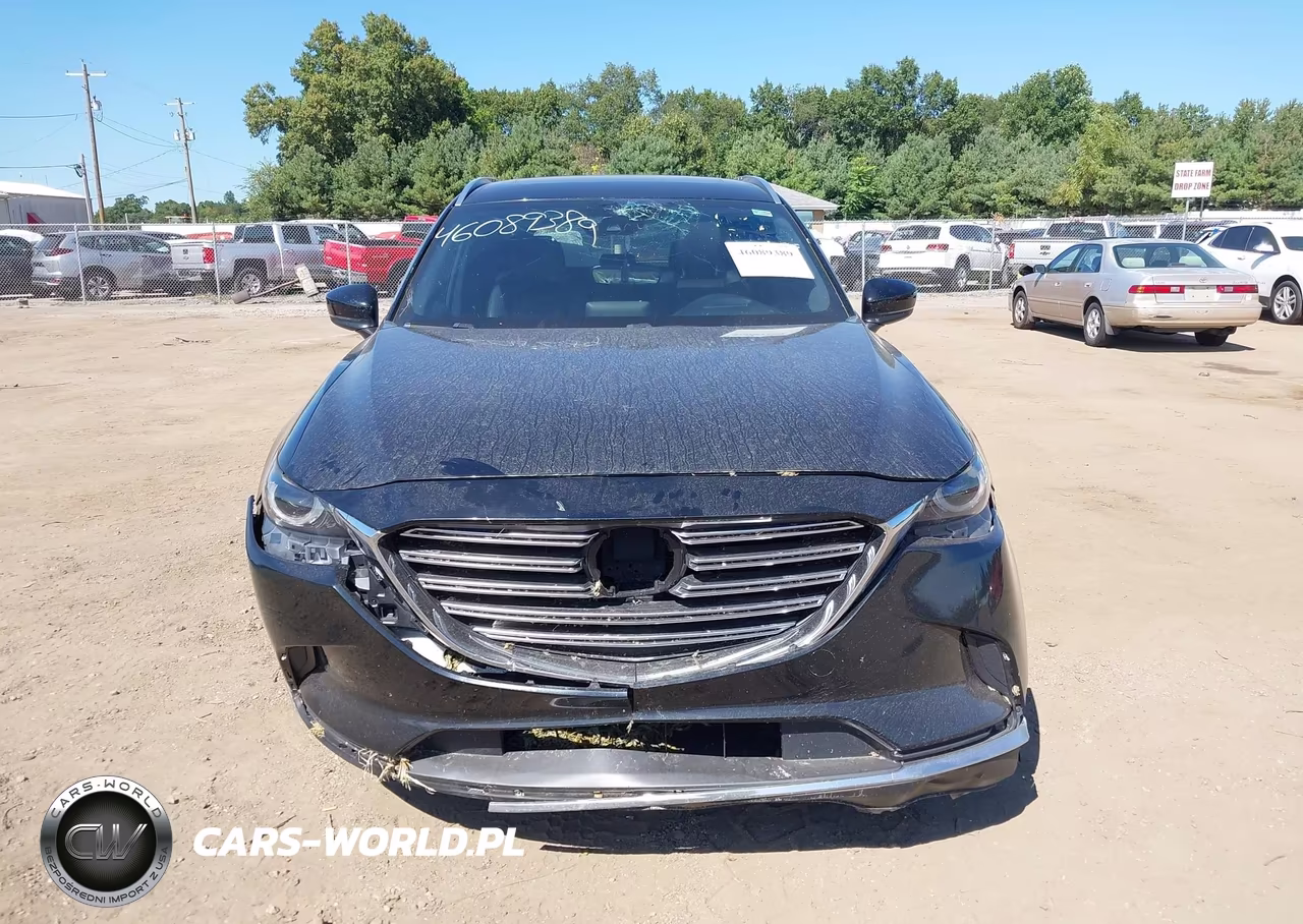 2016 Mazda Cx-9 Grand Touring VIN:JM3TCBDY0G0113478 - 13