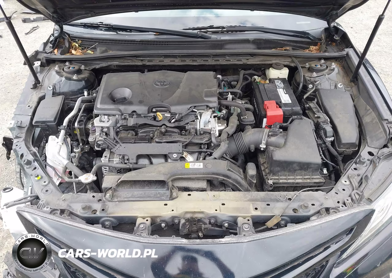 2018 Toyota Camry Xse VIN:4T1B61HK5JU056654 - 10