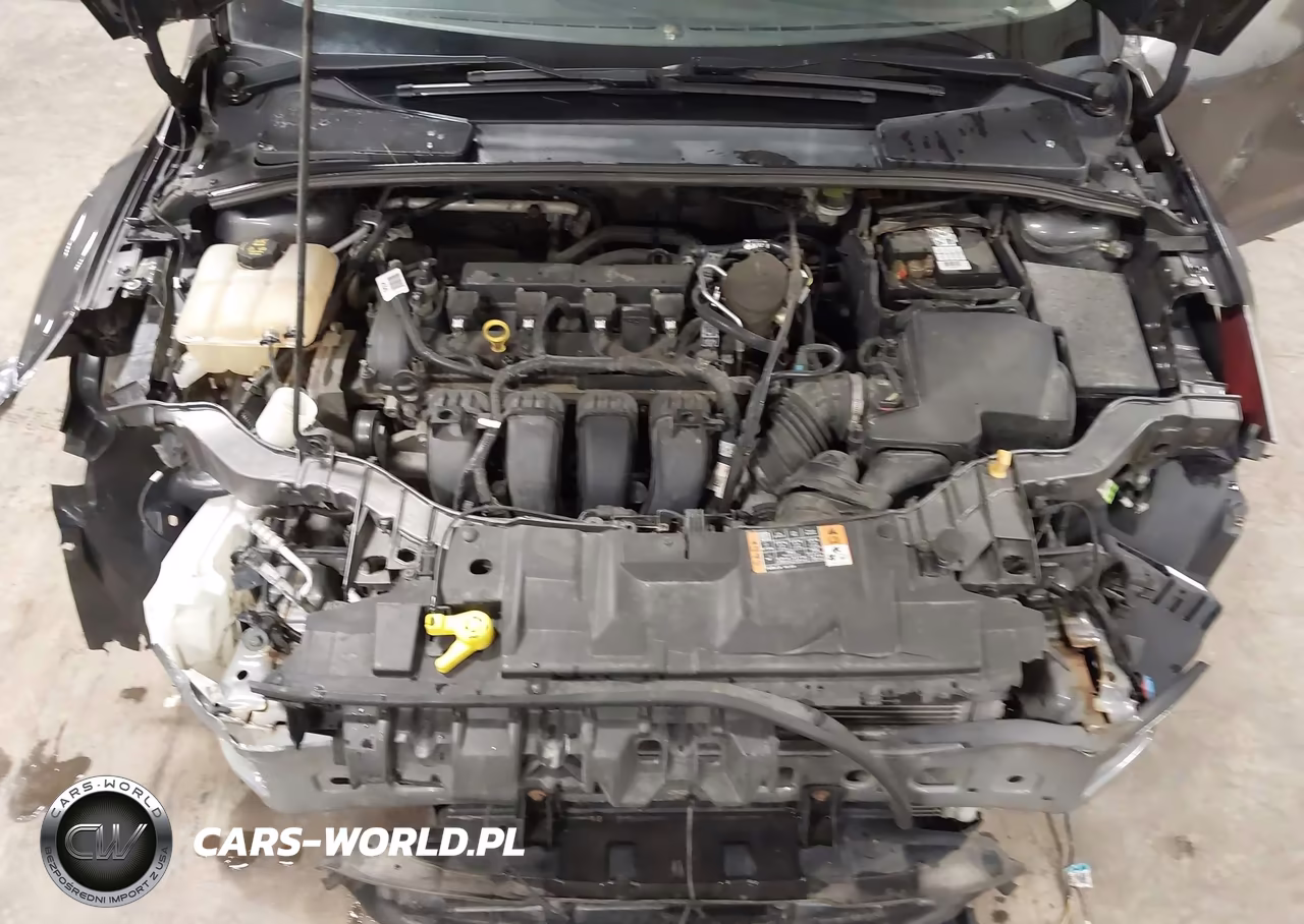 2016 Ford Focus Se VIN:1FADP3F23GL261824 - 10