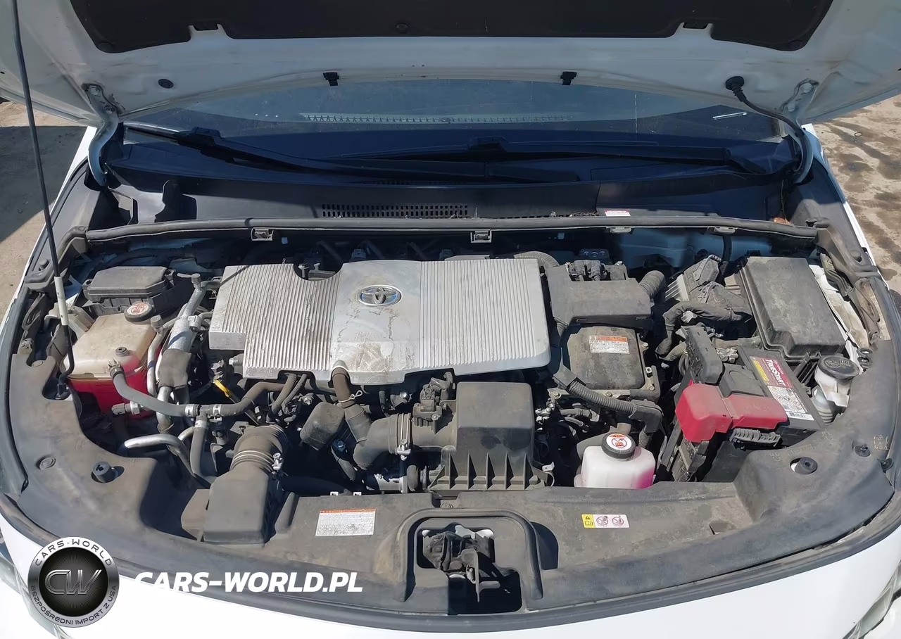 2019 Toyota Prius Prime Premium VIN:JTDKARFP4K3116186 - 10