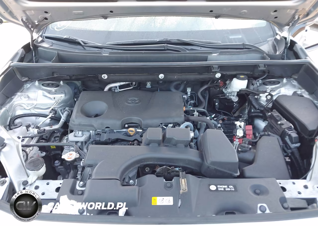2024 Toyota Rav4 Xle VIN:2T3W1RFV5RW354183 - 10
