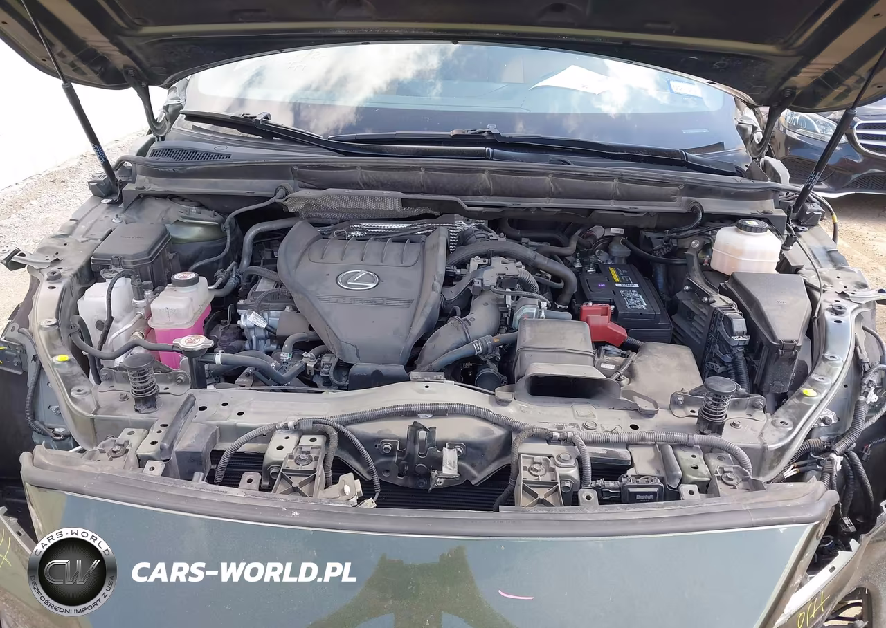 2023 Lexus Rx 350 Premium Plus VIN:JTJCHMAA4P2001121 - 10