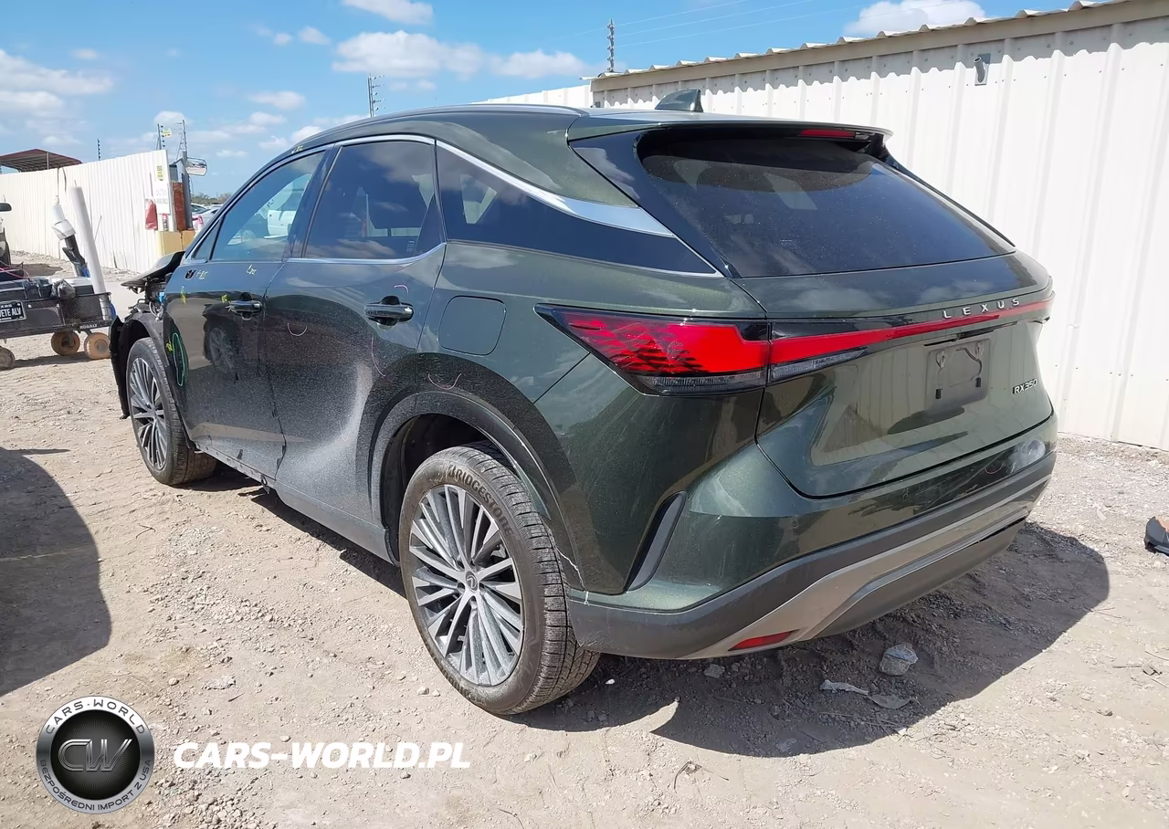 2023 Lexus Rx 350 Premium Plus VIN:JTJCHMAA4P2001121 - 3