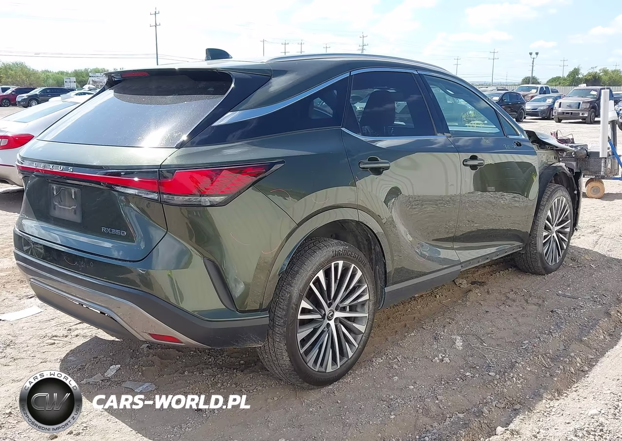 2023 Lexus Rx 350 Premium Plus VIN:JTJCHMAA4P2001121 - 4