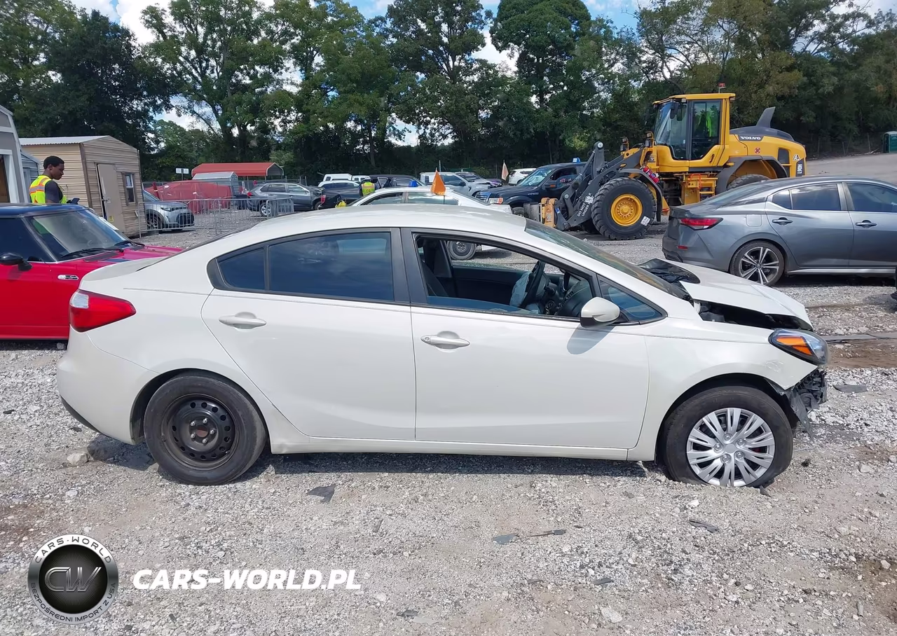 2015 Kia Forte Lx VIN:KNAFK4A63F5374710 - 13