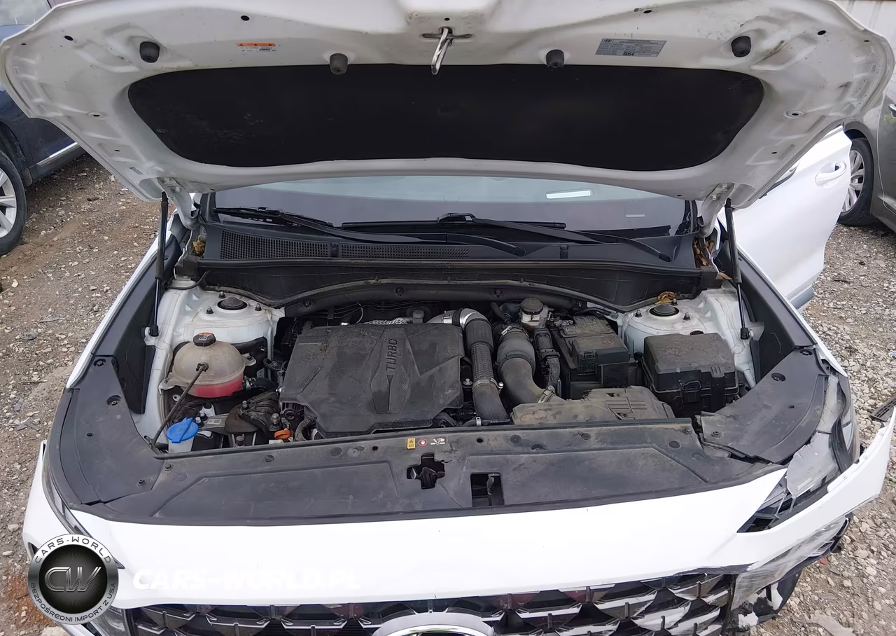 2022 Hyundai Santa Fe Calligraphy VIN:5NMS54AL2NH376796 - 10