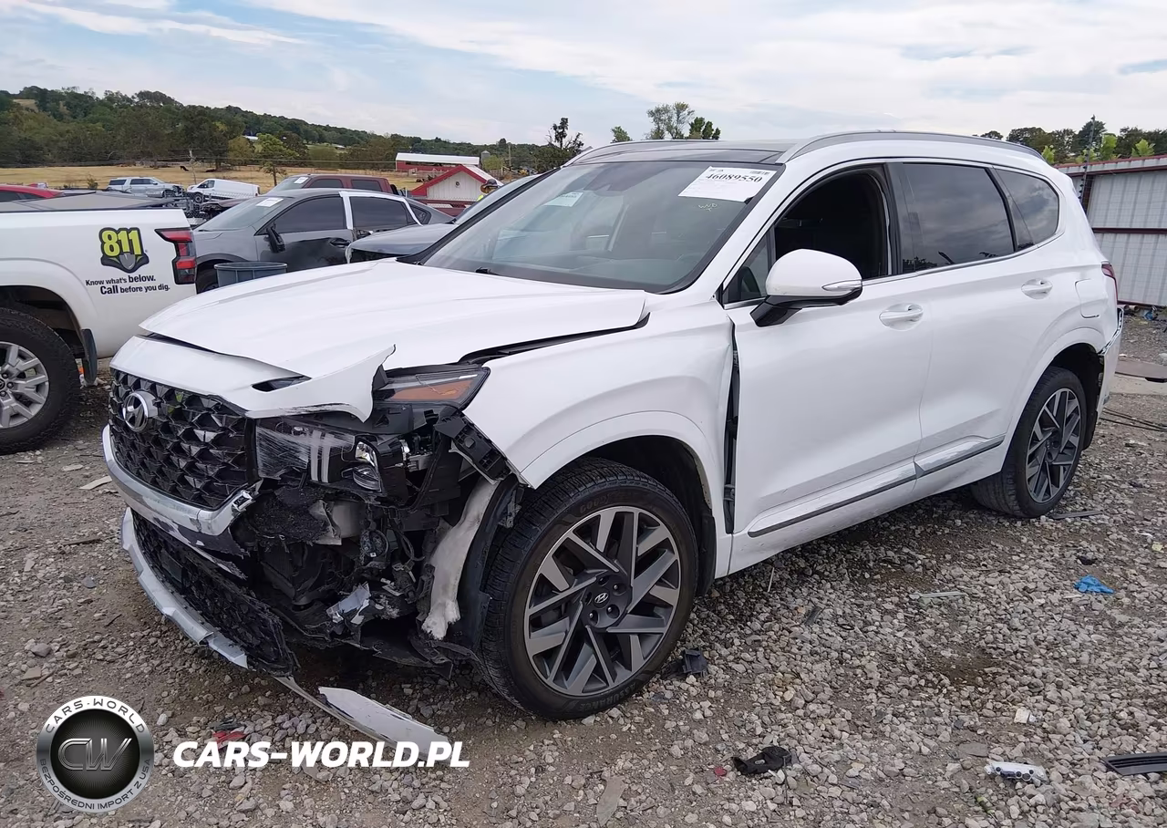 2022 Hyundai Santa Fe Calligraphy VIN:5NMS54AL2NH376796 - 2