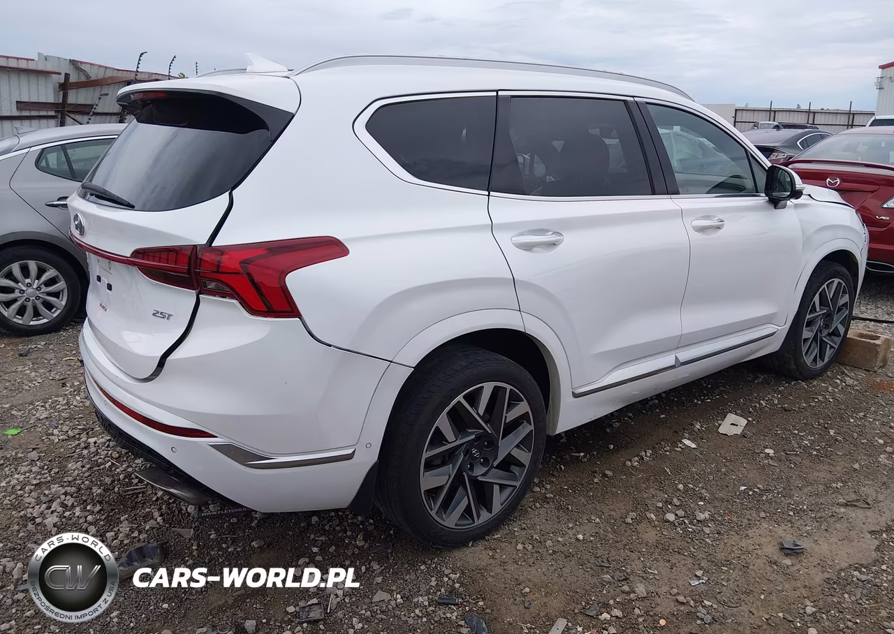 2022 Hyundai Santa Fe Calligraphy VIN:5NMS54AL2NH376796 - 4