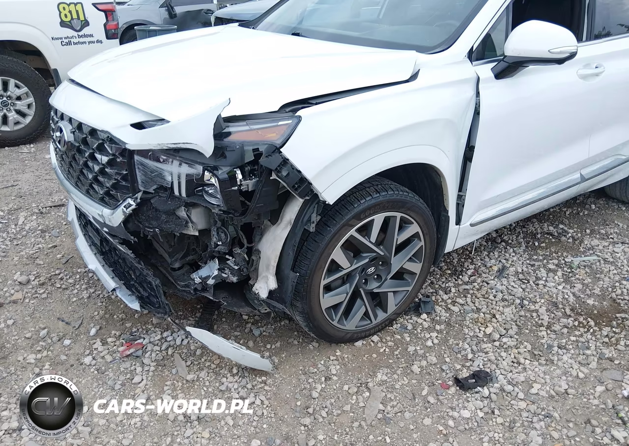 2022 Hyundai Santa Fe Calligraphy VIN:5NMS54AL2NH376796 - 6