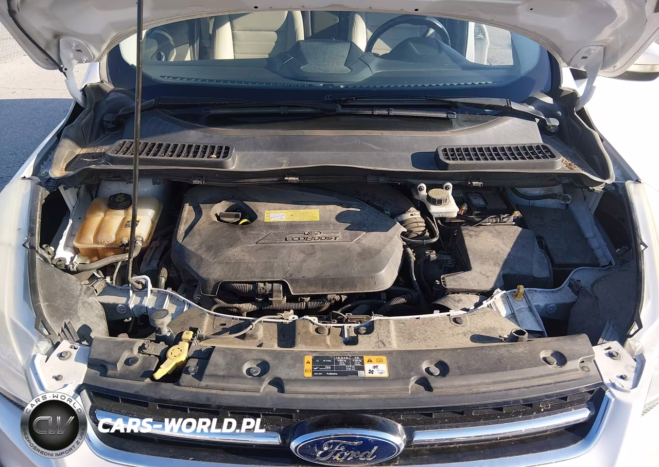 2013 Ford Escape Sel VIN:1FMCU0HX3DUC70563 - 10