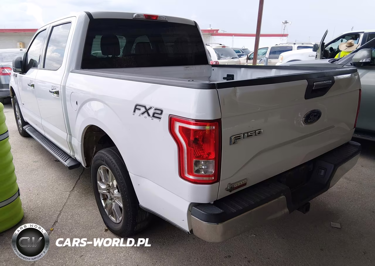 2015 Ford F-150 Xlt VIN:1FTEW1CP3FKE82401 - 3