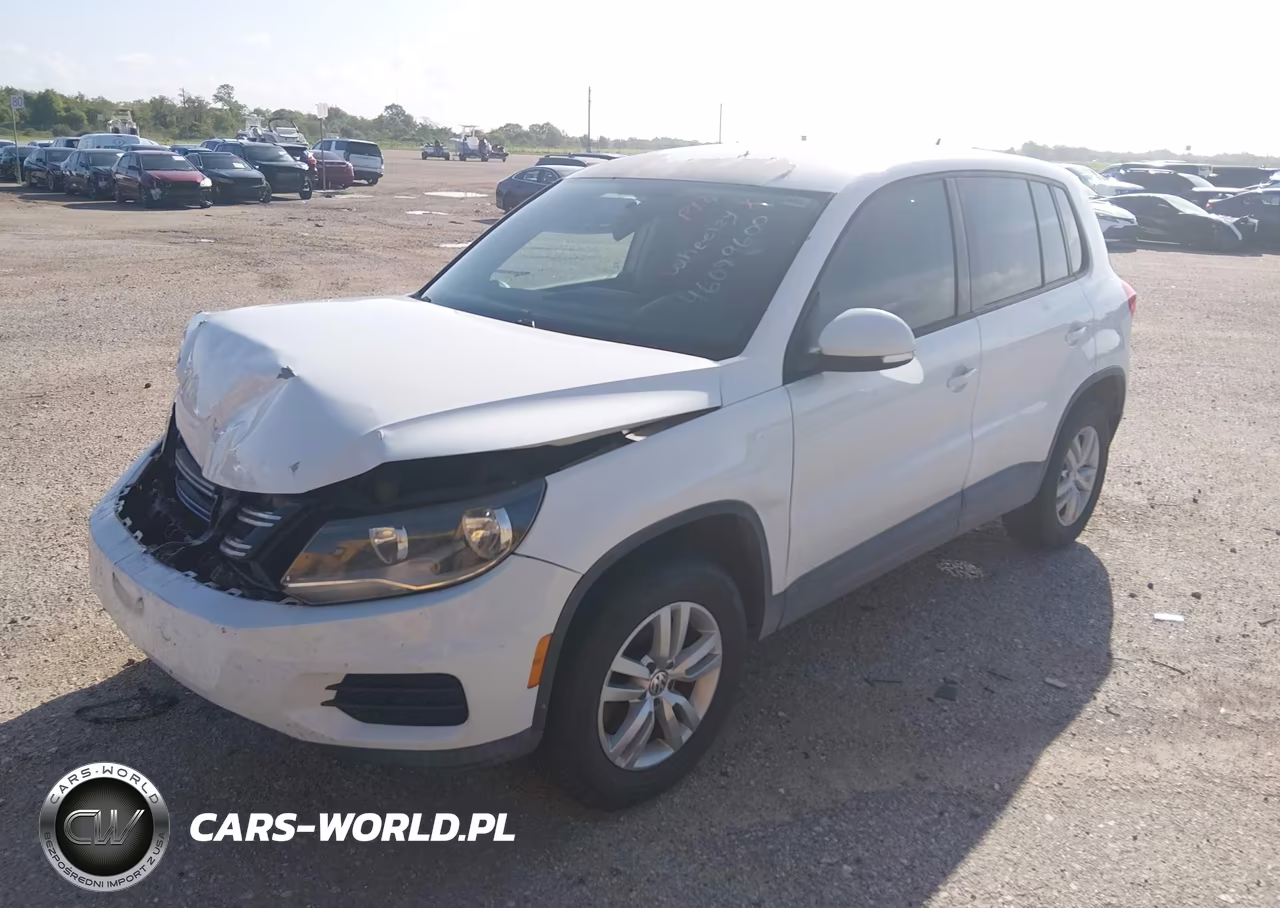 2014 Volkswagen Tiguan S VIN:WVGAV3AX0EW572785 - 2
