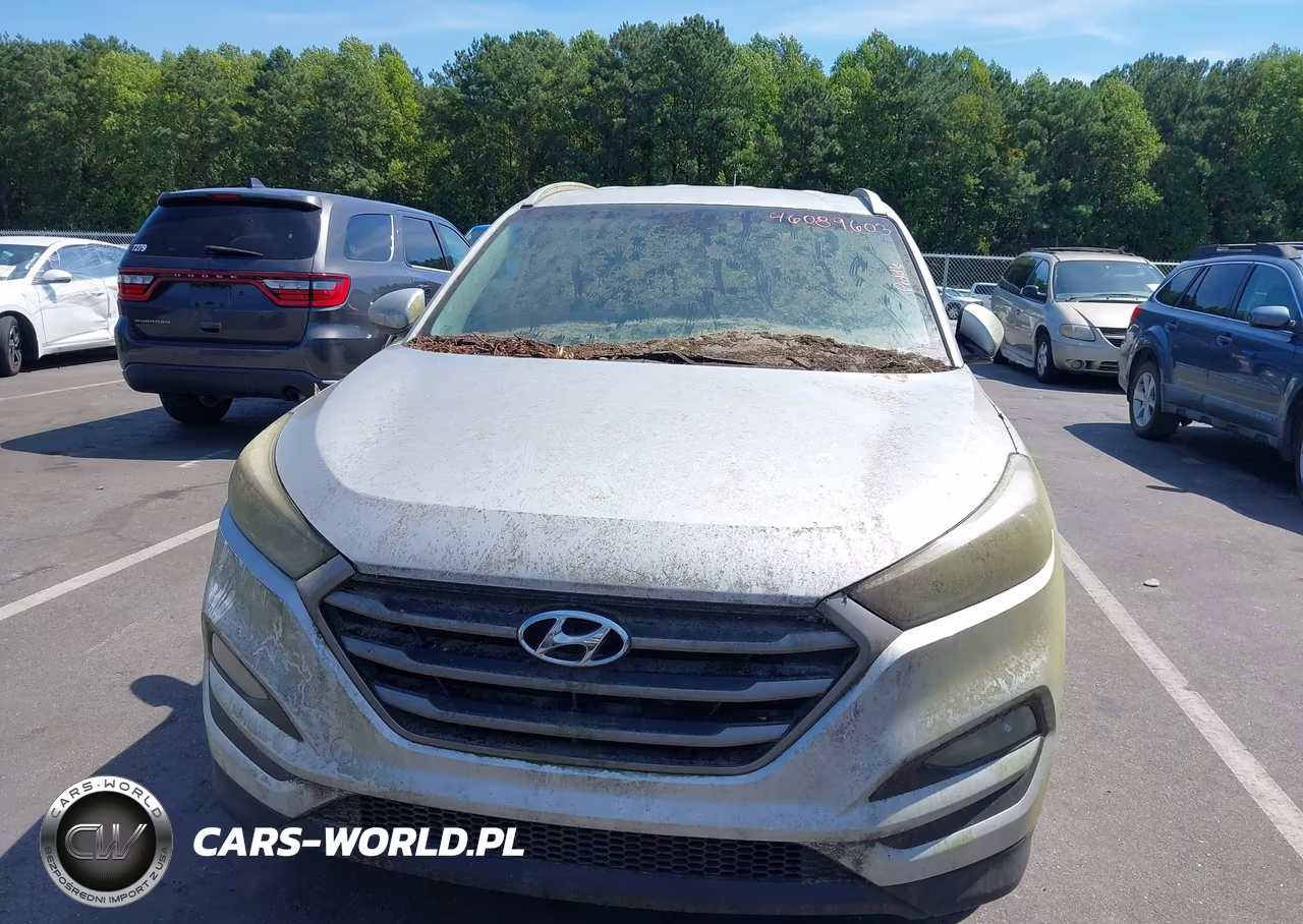 2016 Hyundai Tucson Se VIN:KM8J33A43GU157180 - 6